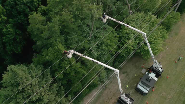 Best Arborist Consultation Services  in Gregory, TX